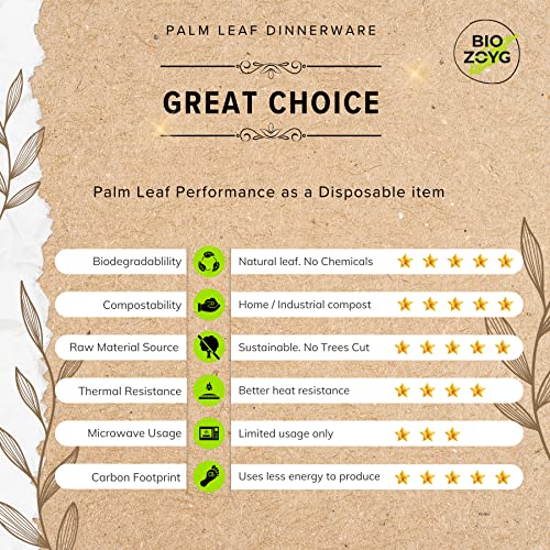 BIOZOYG | 9 inch & 6 inch & 3 inch Square Combo Plates 75 pcs | Disposable Plates | Like Bamboo plates | Palm leaf Plates for Dinner | Compostable Plates | Picnic Party Plates better than Paper Plates