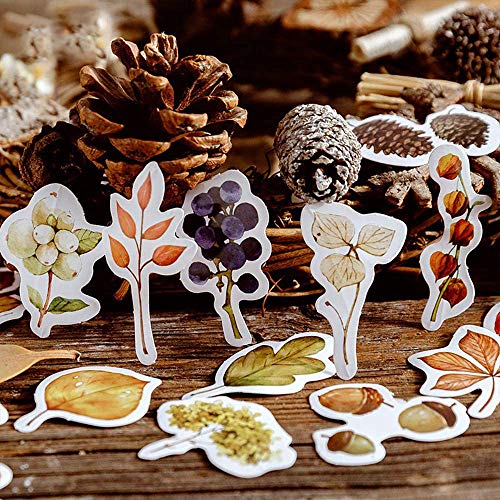 Small Size Fall Scrapbooking Laptop Stickers, 46pcs Doraking Boxed DIY Decoration Autumn Leaves Stickers for Laptop, Planners, Scrapbook, Suitcase, Diary, Notebooks, Album(Falling Leaves, 46pcs/ Box)