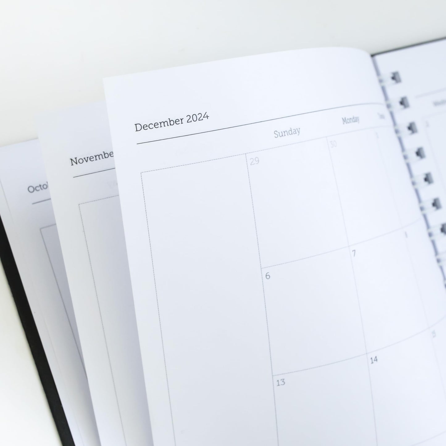 WallDeca 2024 Annual Weekly Planner, Weekly & Monthly Planner, Jan 2024 - Dec 2024 | Flexible Cover, Notes Pages, Twin-Wire Binding (2024) (2024 (8.5 x 11-Inch))