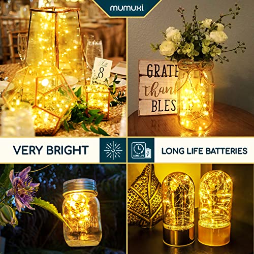 MUMUXI LED Fairy Lights Battery Operated String Lights [20 Pack], 3.3ft 20 Mini Fairy Lights Battery Powered Party Wedding Centerpiece Decorations Crafts Mason Jar Lights Firefly Lights, Warm White