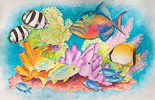 Color Swell Bulk 18 Packs of Watercolor Paint with Wood Brushes 8 Washable Colors for Kids, Families, Classrooms, Parties, All Ages