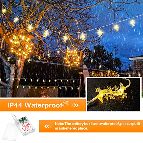 AceList 20ft 40LED Moon & Star Fairy Lights - Warm White String Lights, Battery & USB Powered, 2 Modes, for Kids' Rooms, Gardens, Camping, Balcony, Holidays, Parties, Weddings, Gifts, Home Decor