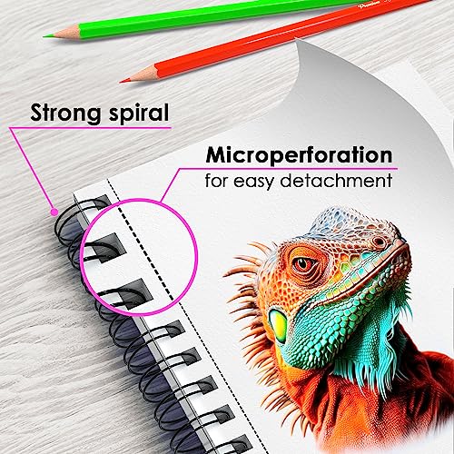 ARTISTO 5.5X8.5” Premium Sketch Book Set, Pack of 3 (300 Sheets), 68lb (100g/m2), Spiral Bound, Acid-Free Drawing Paper, Perfect for Most Dry Media