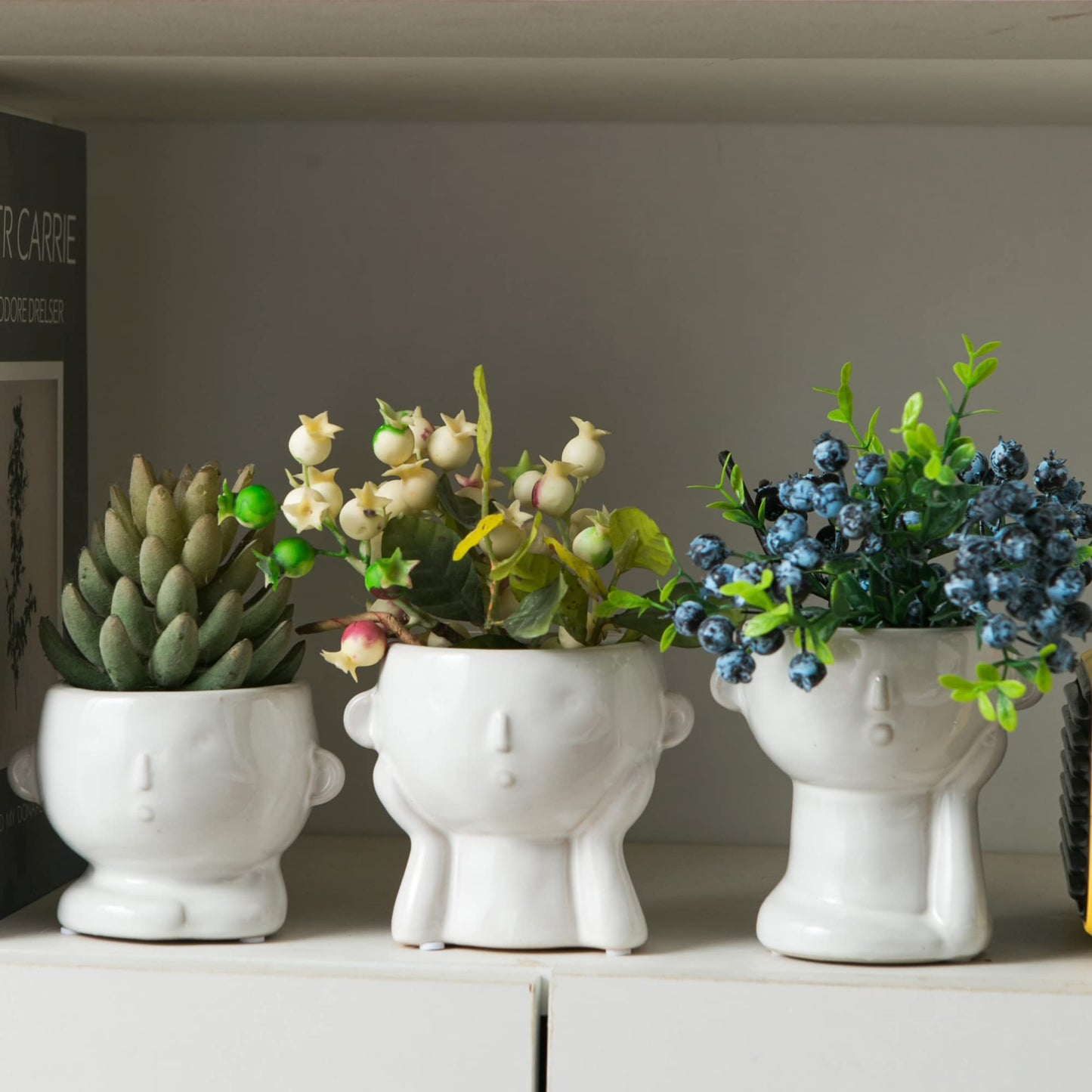 Tenforie Ceramic Flower Pot Modern Style Vase Cute Fleshy Flower Vase Supporting Cheek Vase Mini Ceramic Plants Containers for Home Office, No Plant-3 Pack