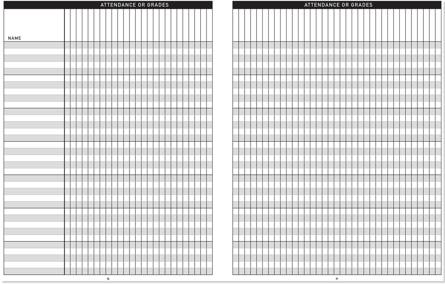 Teacher's Planner (Teacher's Lesson Planner)