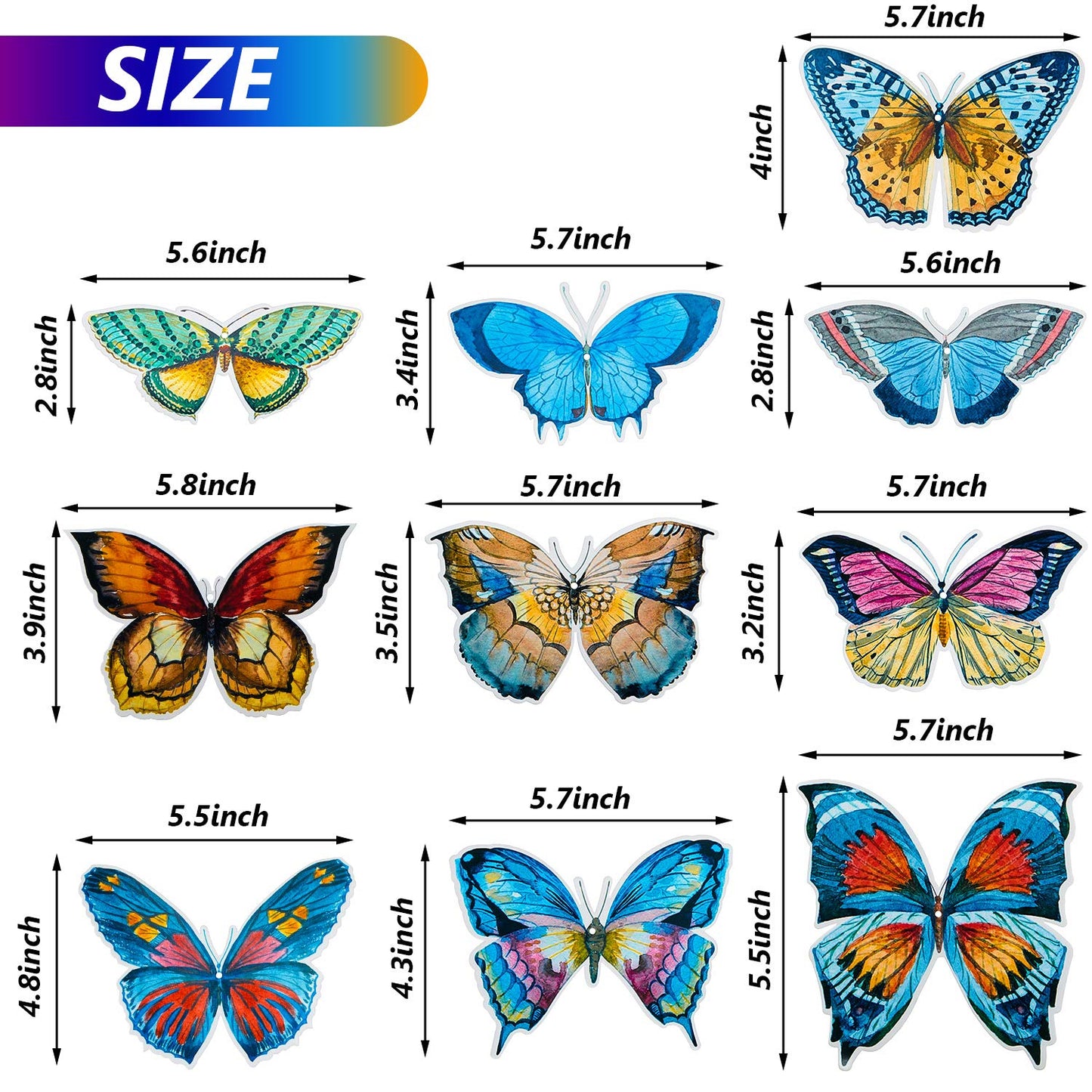 WILLBOND 40 Pieces Butterfly Spring Hanging Swirl Summer Spring Party Hanging for Home Classroom Baby Shower Birthday Wedding Garden Themed Tea Party Decoration Supplies