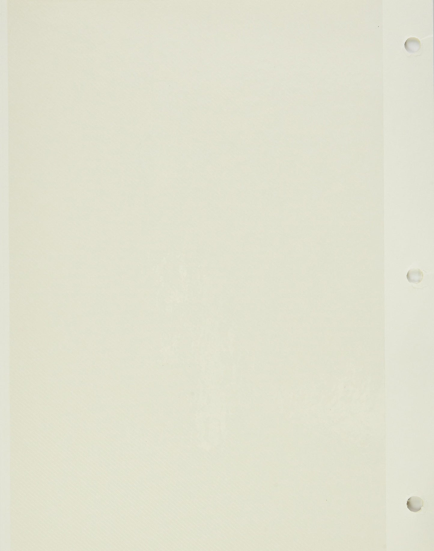 Refill Pages for LM-100, LM-100D and LM-100W Photo Albums, 10 Pages (5 Sheets)