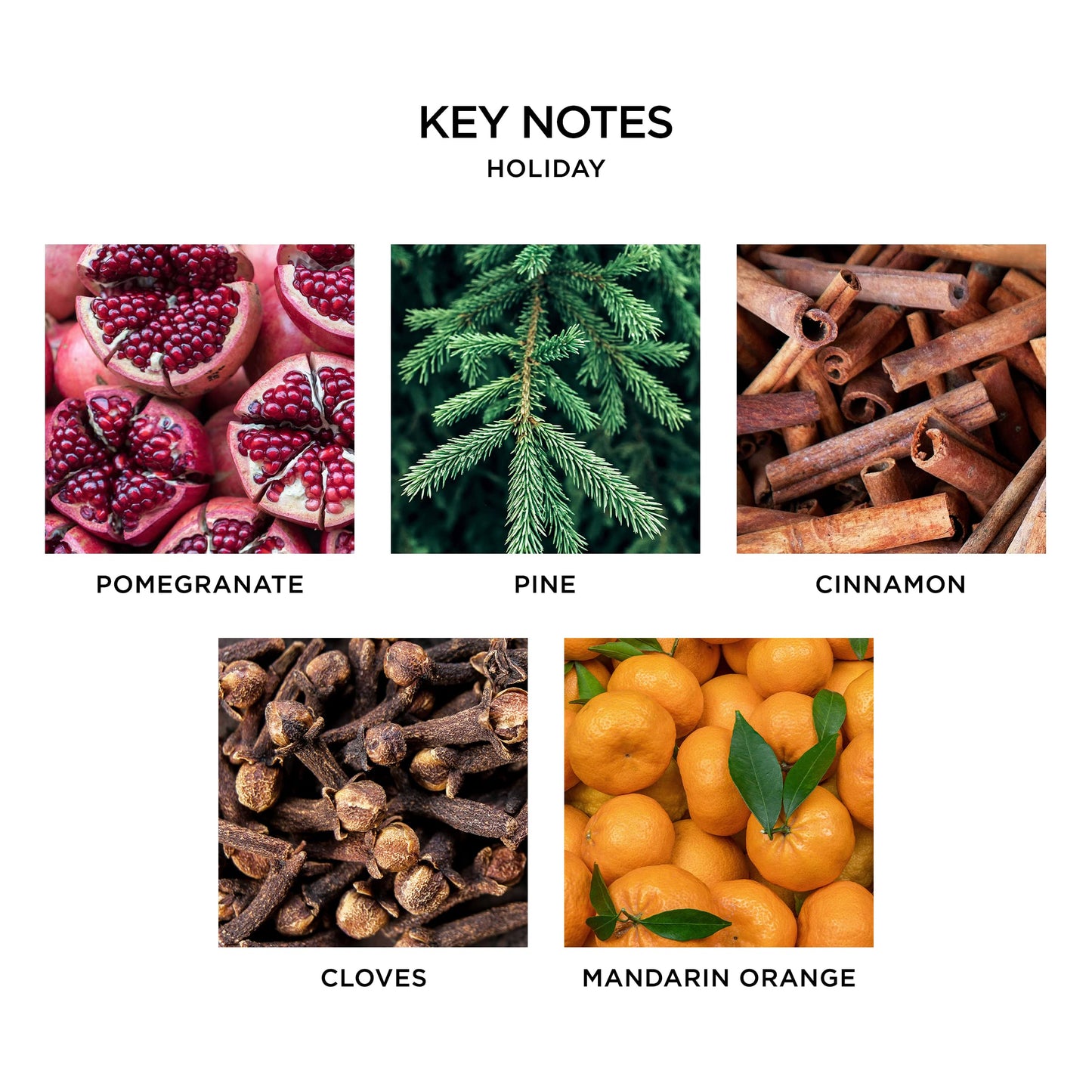 NEST Fragrances Votive Candle- Holiday , 2 oz