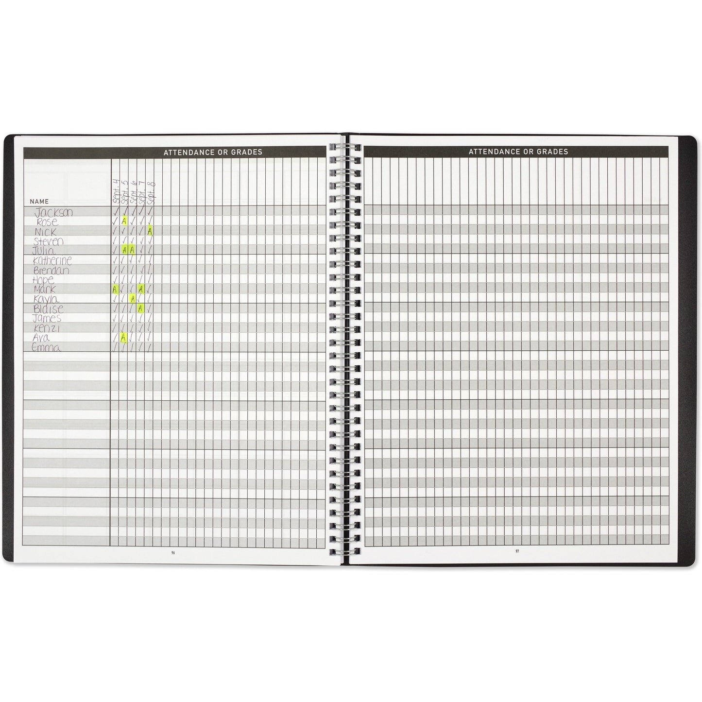 Teacher's Planner (Teacher's Lesson Planner)